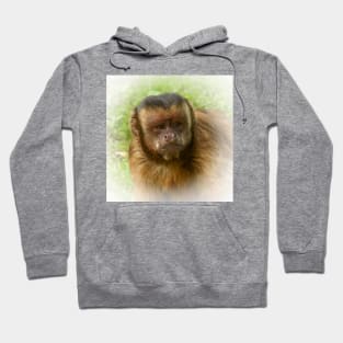 Tufted capuchin Hoodie